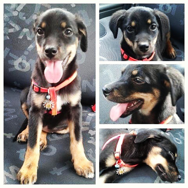 ¿Qué le pasó a Kala?