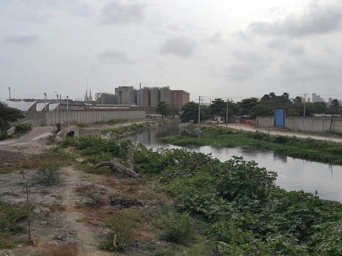 El lamentable estado de los caños en Barranquilla