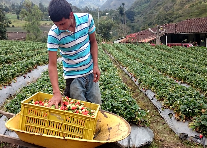 La gente de la Cuenca, cuenta