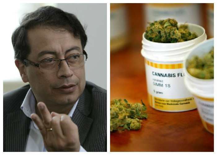 El cannabis como medicina para drogodependientes