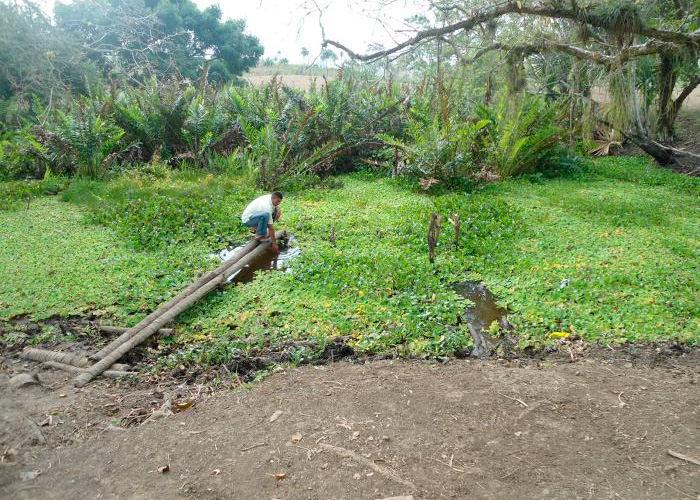 Desplazamiento campesino en Sucre por sequía