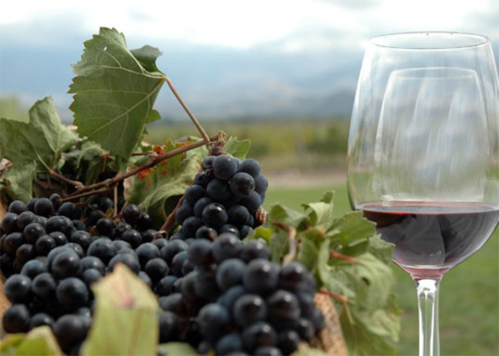 La Copa América del vino