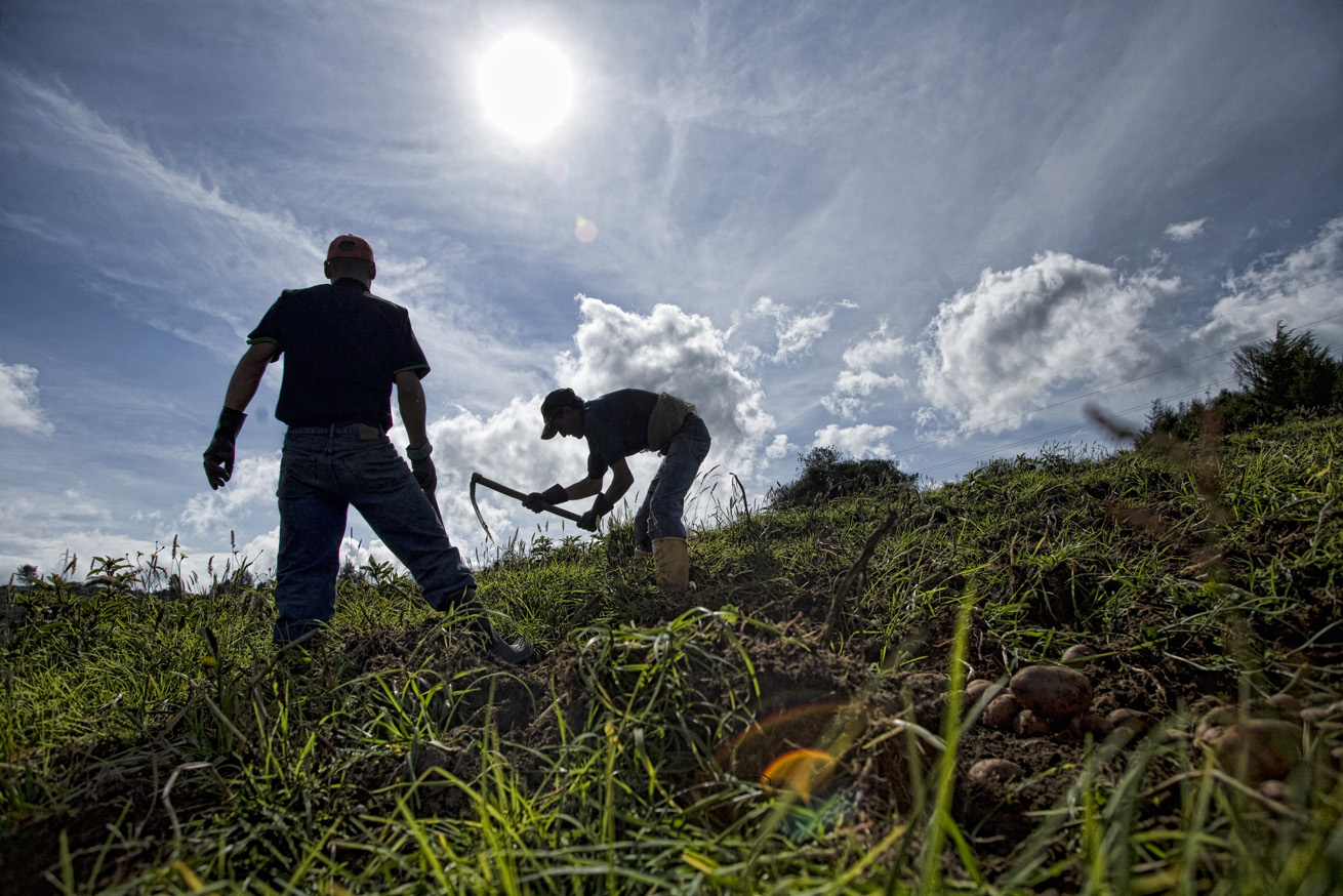 Ruralidad colombiana en el marco del posconflicto
