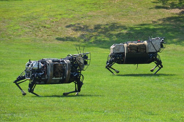 Declaración universal del derecho robot