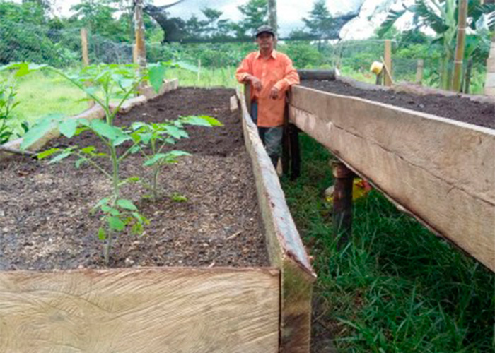 Sembrando vida en el Caguán