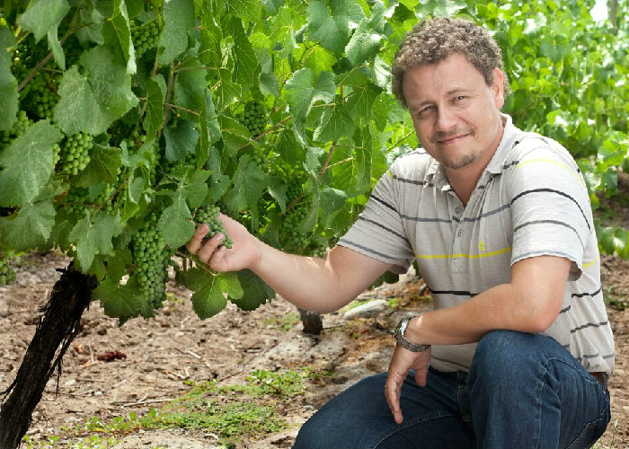 Colombianos apenas toman 1 litro de vino al año