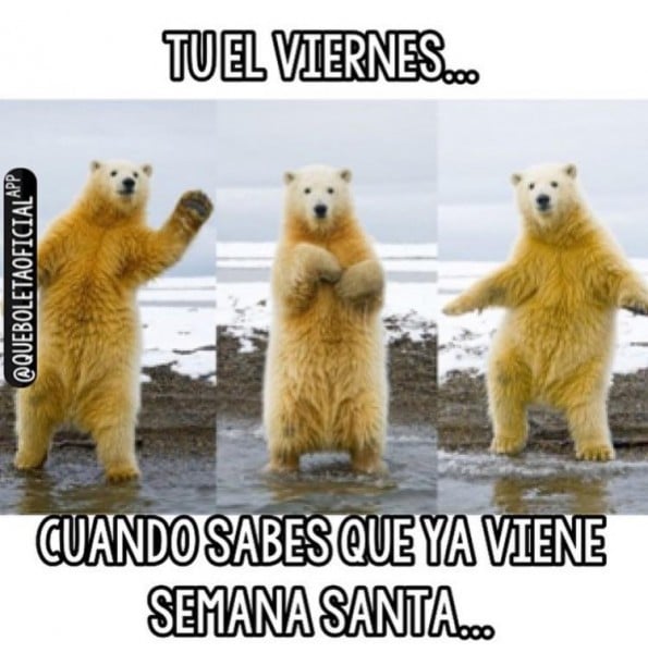  - ¿Quiénes están detrás de @QueBoletaOficial?