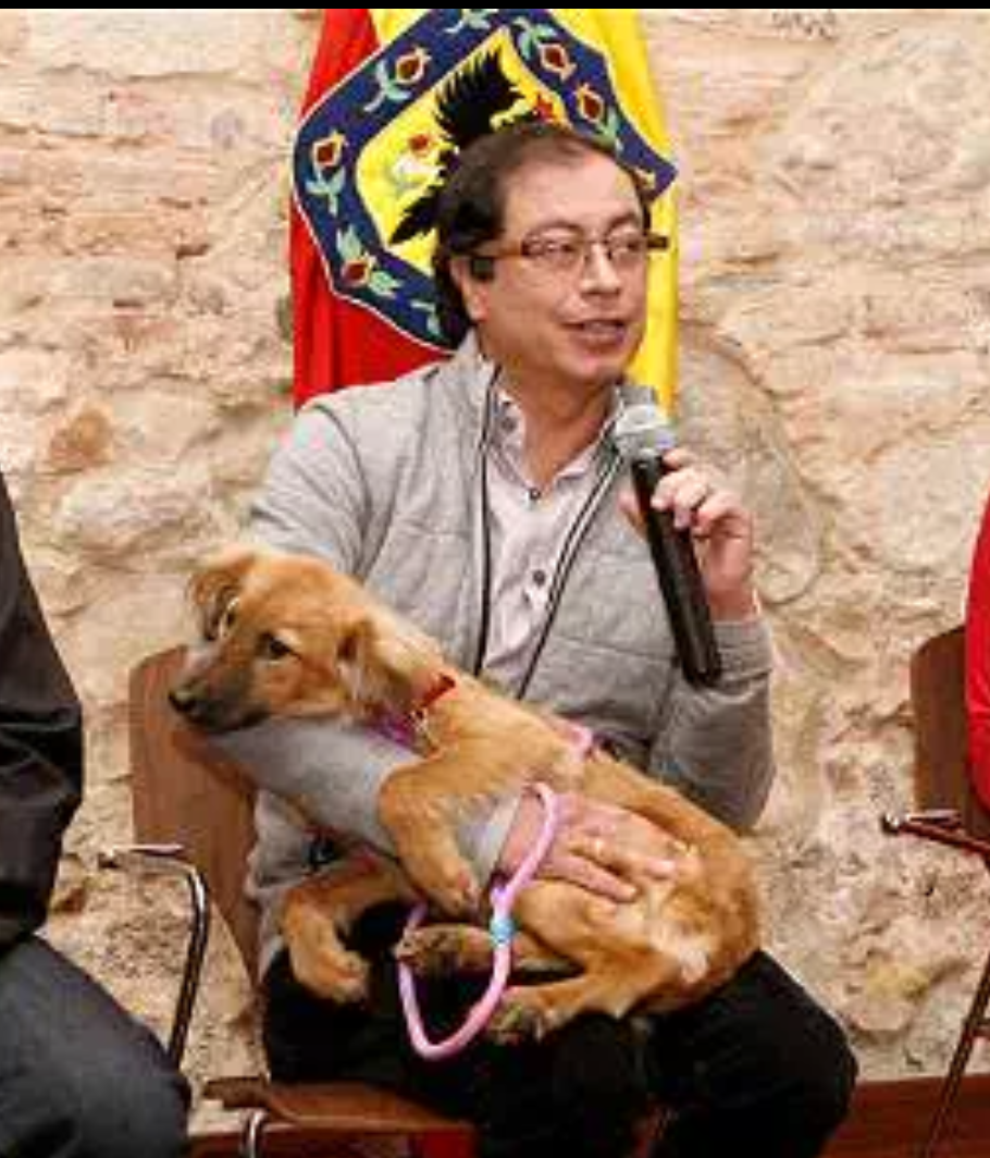 Murió Bacatá, la mascota del Alcalde Petro