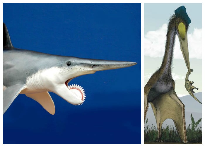 Los animales más peligrosos que han estado en la tierra