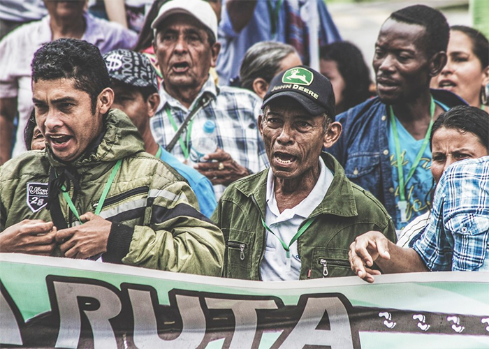 Así se está moviendo la coca