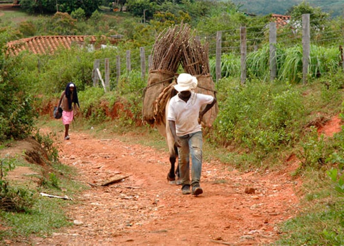 Voces ocultas del conflicto armado en el Cauca