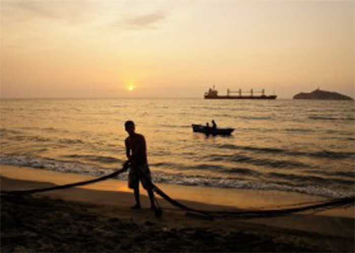 Salvemos Los Cocos de Santa Marta