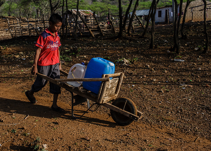 Medios: ¿zombies o idiotas útiles? 