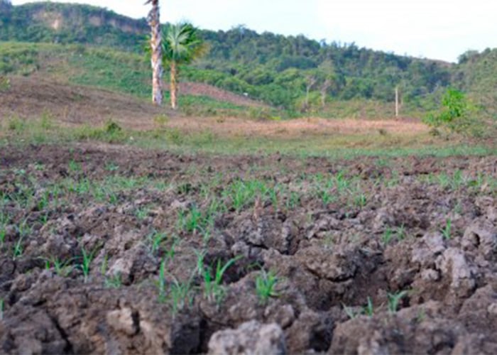 'Ayudemos a salvar los Montes de María'