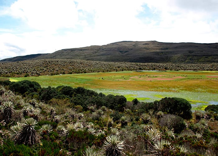 El páramo de Sumapaz está en riesgo de explotación