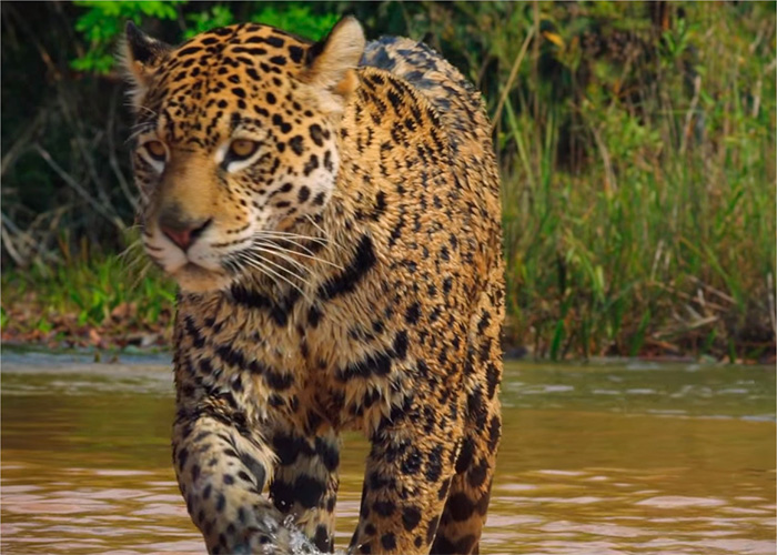 El país que los colombianos nunca han visto