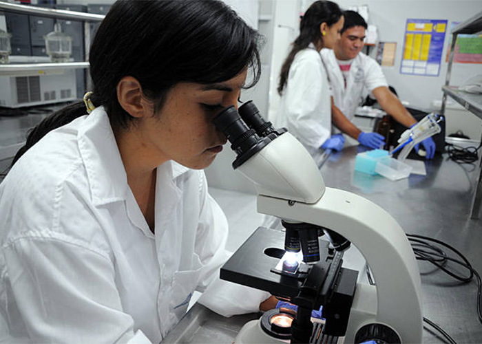 Científicos alarmados por el bajo presupuesto de Colciencias