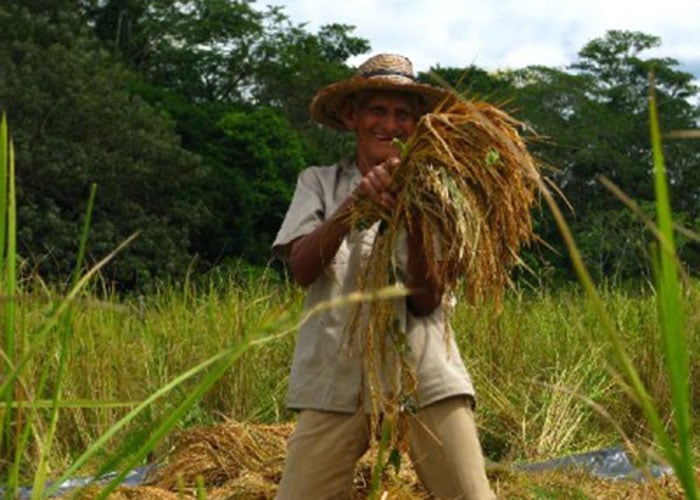 Colombia tiene combustible, pero no cree en el agro