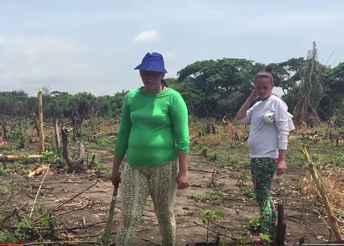 Nuevas agresiones a campesinos de Las Pavas (Bolívar)