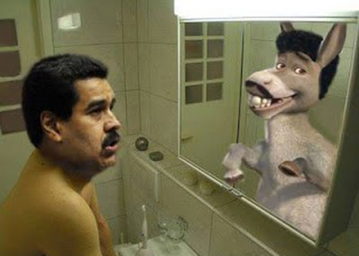 Por qué Maduro no es ningún burro