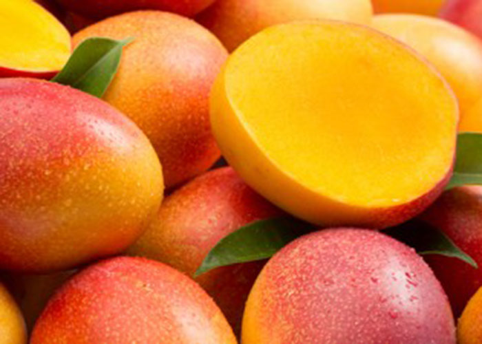 Los olores de mi infancia