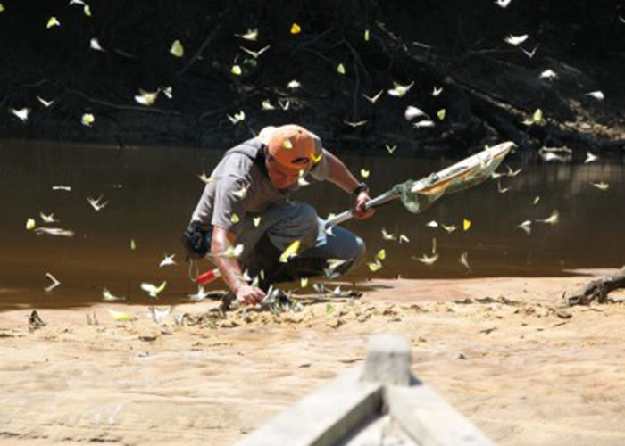 Los dos colombianos que viven por estudiar a las mariposas