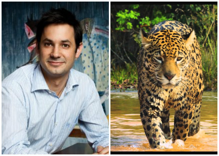 El inspirador de Magia Salvaje