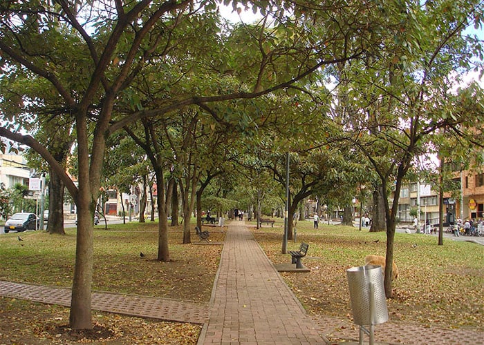 Teusaquillo: orgullo cultural de Bogotá