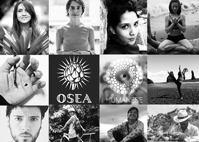 De la naturaleza islandesa a las calles de Medellín