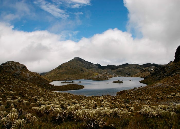 ¿El queso 'gruyere' no estará en las intenciones de algunos 'ambientalistas' santandereanos?