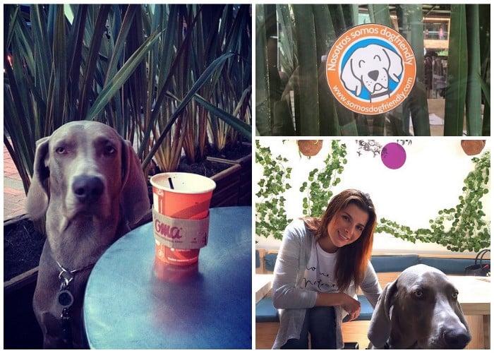 Los 140 sitios 'Dog Friendly' de Bogotá