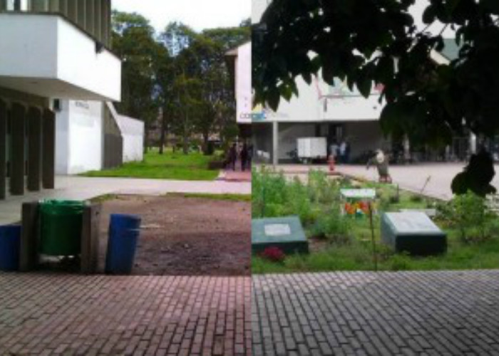 La mala administración en la Universidad Nacional