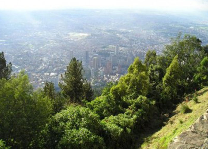 La guía ambiental para las elecciones en Bogotá