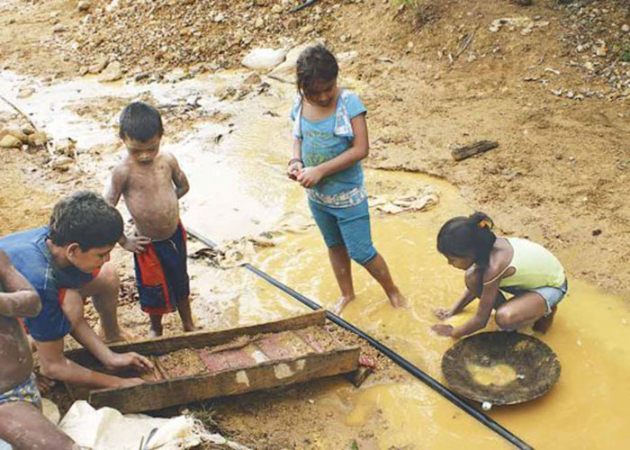 Codechocó y el desarrollo sostenible del Chocó