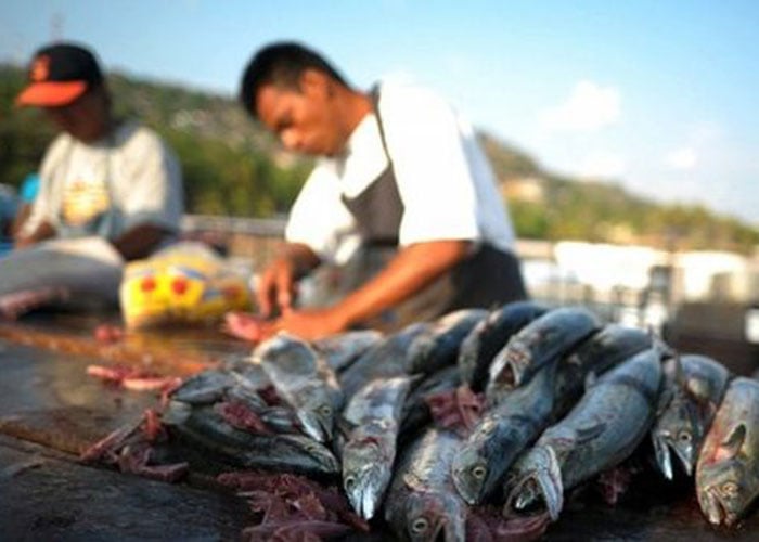 La ley contra la pesca ilegal: un paso que el Congreso debe dar