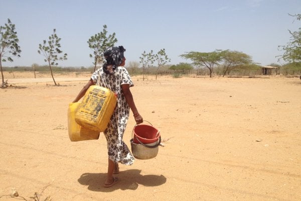Dos delfines se unen por el manejo del agua en La Guajira