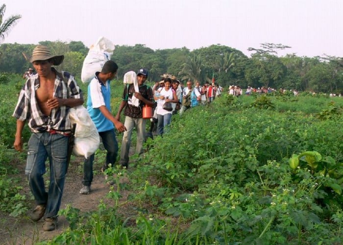 Llegando a un nuevo hogar
