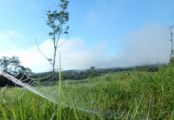 Una huída de 16 años en las selvas del Caquetá