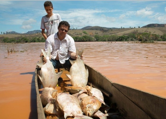 En video, el río Doce en Brasil está muriendo