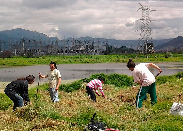 Humedal La Libélula de Tunjuelito: un remanso verde en plena Bogotá