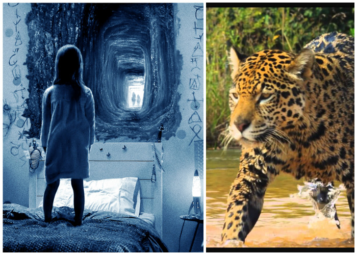 ¿Qué están viendo los colombianos en cine?