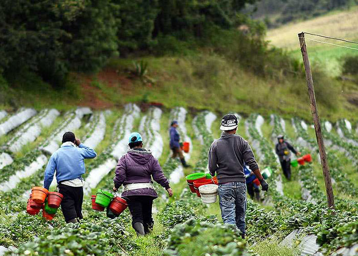 Organizaciones indígenas entutelan el proyecto de Ley de Zidres