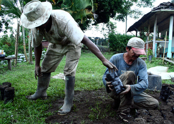 Precisiones para implementar la reforma rural integral