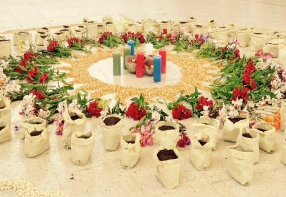 Donde hay buen alimento, hay paz