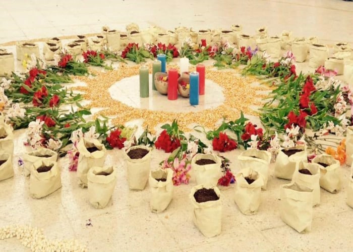 Donde hay buen alimento, hay paz