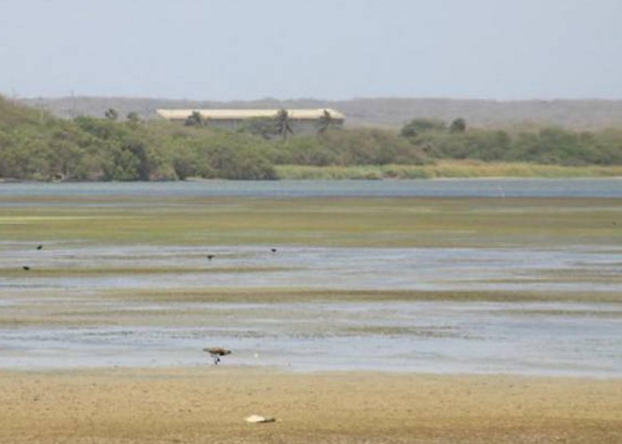 ¿Quién es el responsable del desabastecimiento de agua en el país?