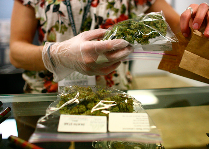 La planta de extracción de cannabis medicinal más grande del mundo estará en Colombia