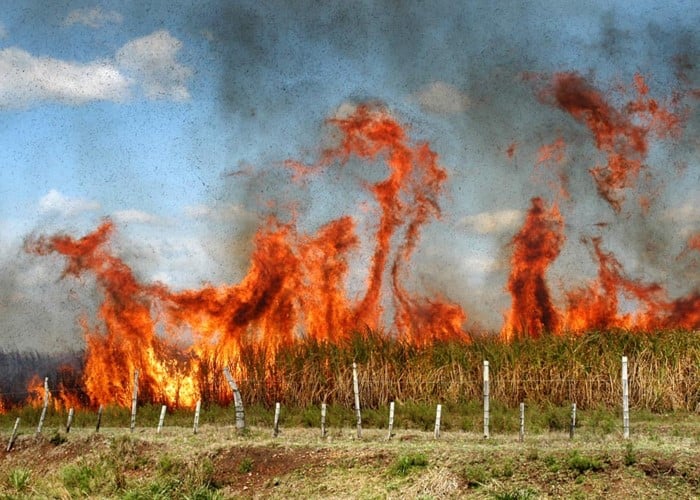 Ingenios siguen quemando cultivos en el Valle a pesar de prohibición