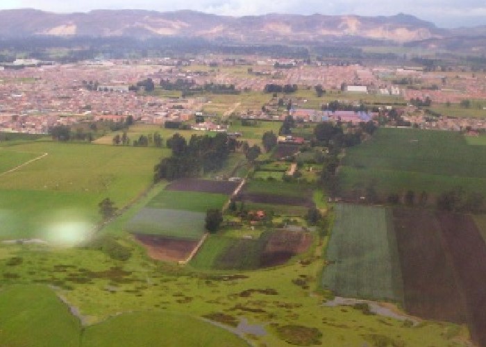Agricultura urbana, la consentida de las constructoras