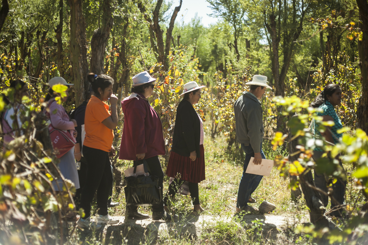 ¿Alguien ha visto un plan de desarrollo territorial?